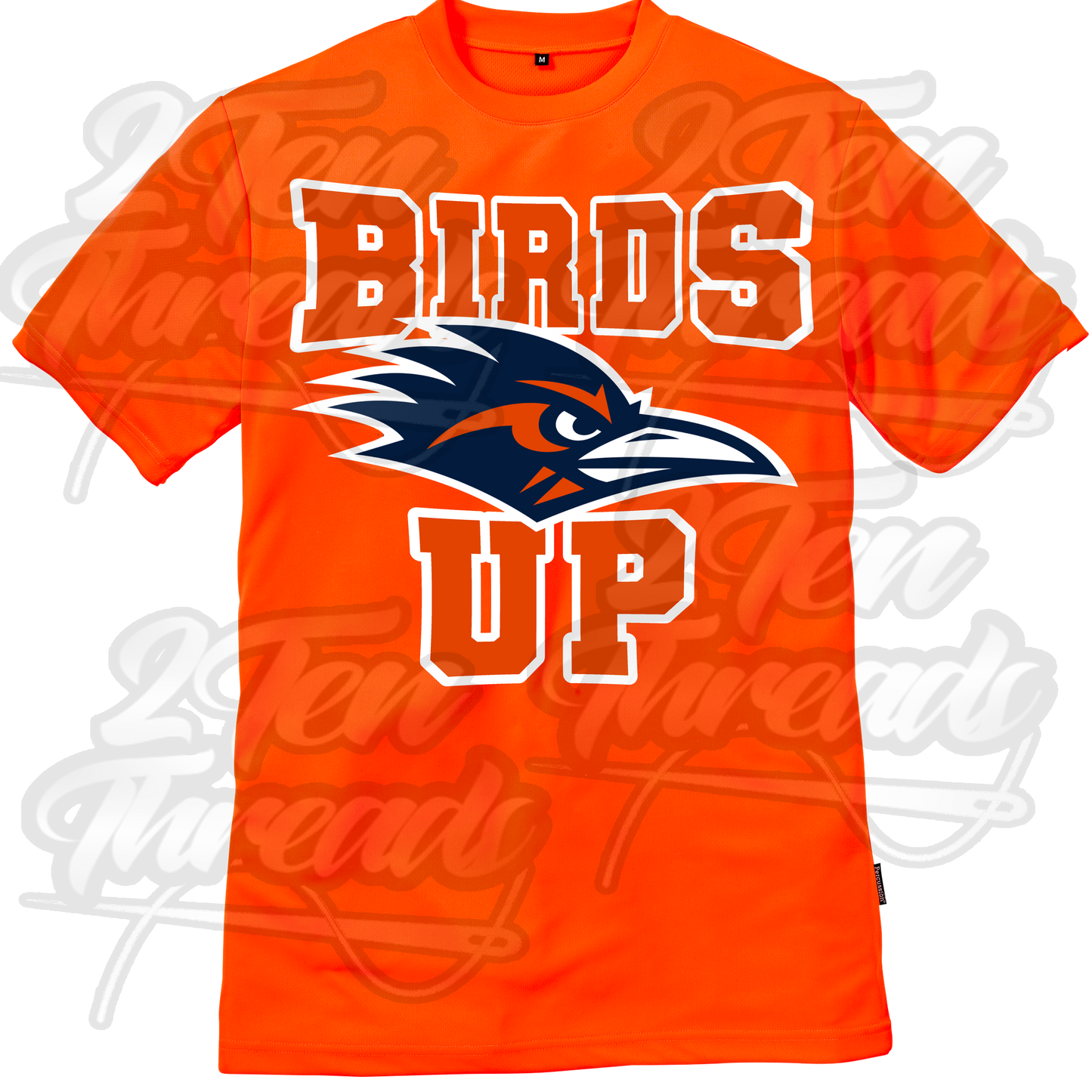UTSA Birds UP Meep Logo