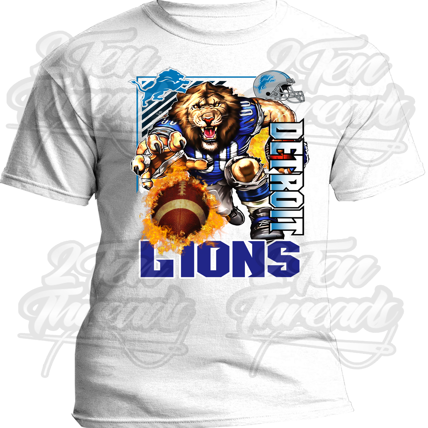 Detroit Lions Football Team